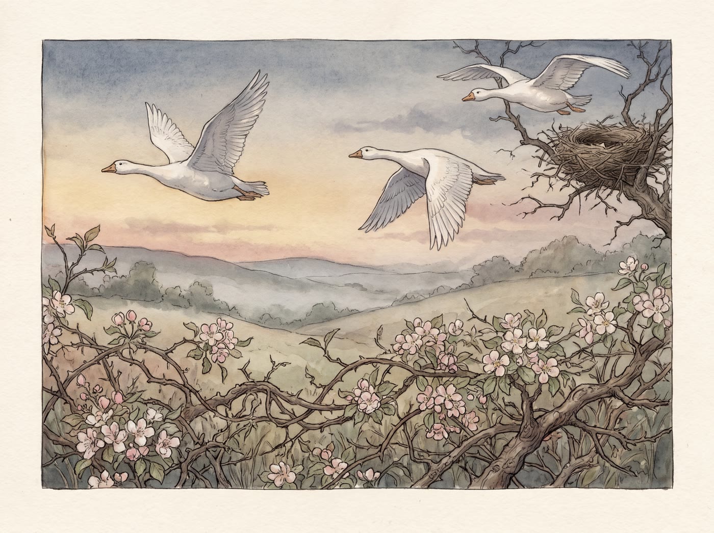 Three white geese flying over blossoming briars and rolling hills at dusk, one passing a nest in a bare tree